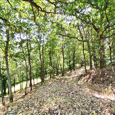 Privat bolig Quinta De Santo Antonio Fontoura