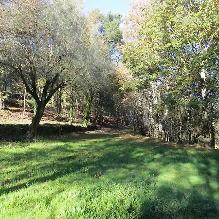 Quinta De Santo Antonio
